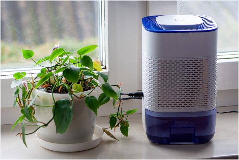5 Signs You Need a Dehumidifier in Your Home