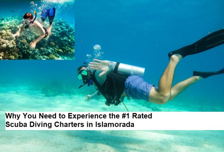 Why You Need to Experience the #1 Rated Scuba Diving Charters in Islamorada