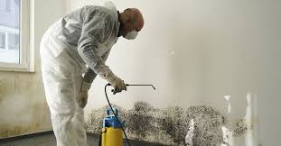 Health Risks of Mold Exposure and the Benefits of Regular Mold Inspections in Pompano Beach