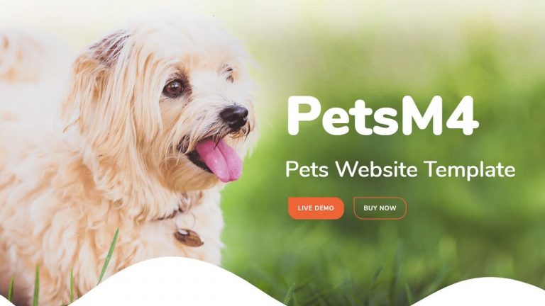 The Ultimate Guide to Creating A Dog-Friendly Website: Tips & Tricks for Increasing Dog Marketing Online