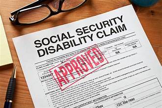 Navigating the Disability Claims Process in Tampa: How a Social Security Disability Attorney Can Be Your Anchor