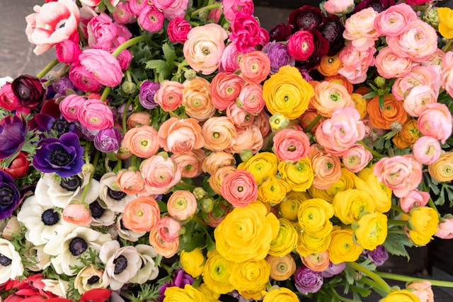 Blooming Beauties – A Guide to Flower Shops and  Chocolate Bouquet in Malaysia.