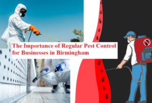 The Importance of Regular Pest Control for Businesses in Birmingham