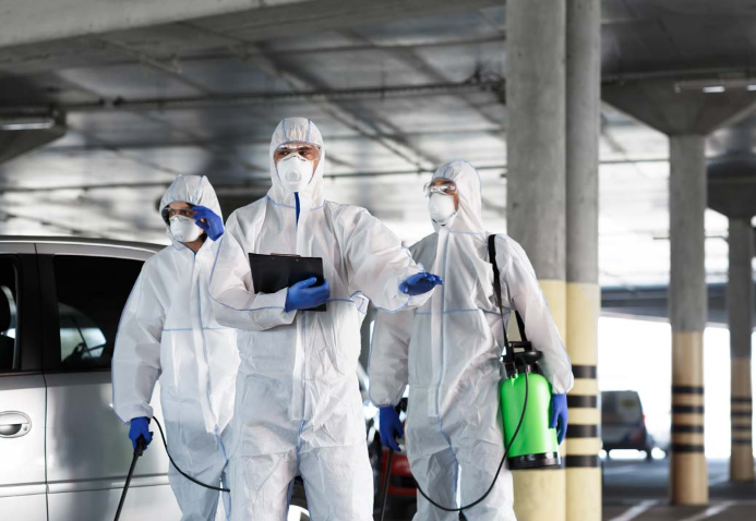 Why Hiring an Expert Pest Control Company is a Smart Investment for Your Home