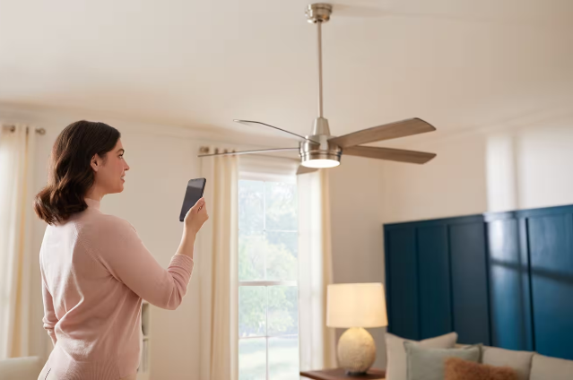 Wire a Ceiling Fan