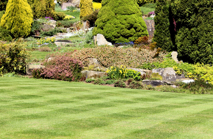 Mastering the Art of Lawn Care Mowing