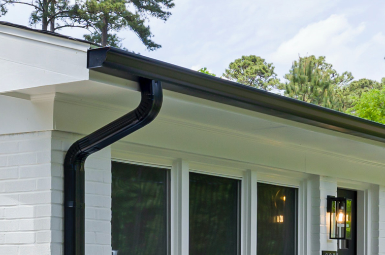 The Art of Keeping Gutters Pristine