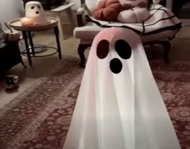 Styling Your Robot Vacuum for Spooky Season