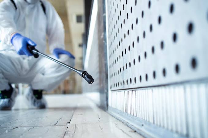 Mold Testing in Bradenton: What Every Homeowner Should Know